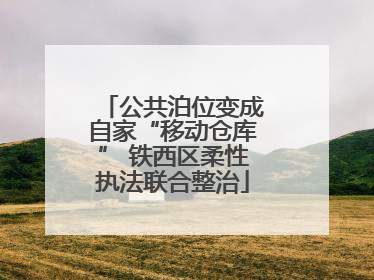 公共泊位变成自家“移动仓库” 铁西区柔性执法联合整治