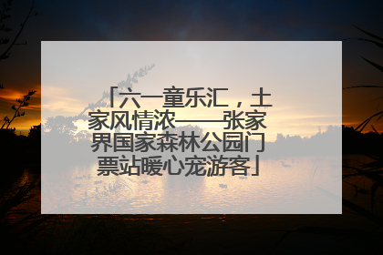 六一童乐汇，土家风情浓——张家界国家森林公园门票站暖心宠游客