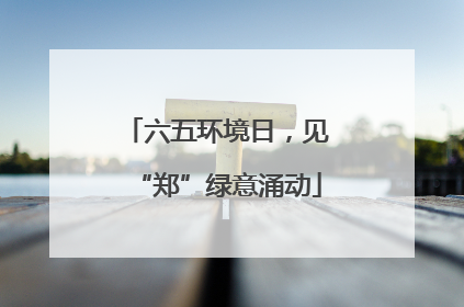 六五环境日，见“郑”绿意涌动