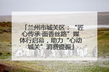 兰州市城关区：“匠心传承·面香丝路”媒体行启幕，助力“心动城关”消费提振