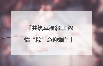 共筑幸福邻里 浓情“粽”意迎端午