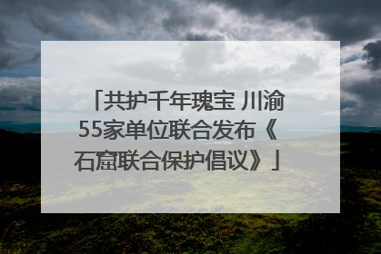 共护千年瑰宝 川渝55家单位联合发布《石窟联合保护倡议》