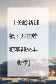 关岭新铺镇：万亩蜂糖李迎来丰收季