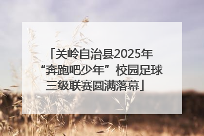 关岭自治县2025年“奔跑吧少年”校园足球三级联赛圆满落幕