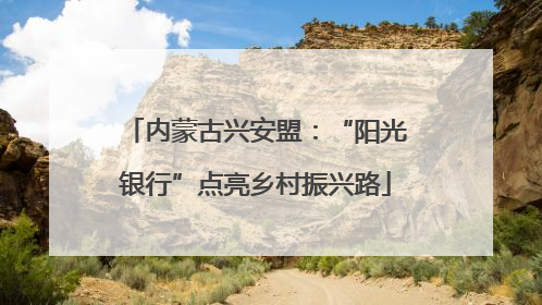 内蒙古兴安盟：“阳光银行”点亮乡村振兴路