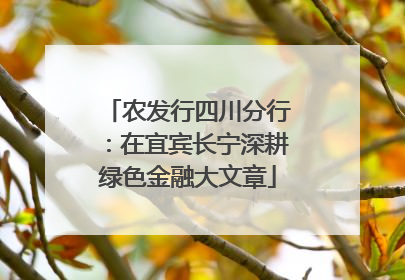 农发行四川分行：在宜宾长宁深耕绿色金融大文章