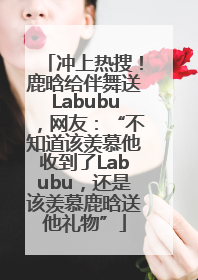 冲上热搜！鹿晗给伴舞送Labubu，网友：“不知道该羡慕他收到了Labubu，还是该羡慕鹿晗送他礼物”