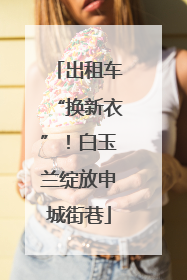 出租车“换新衣”！白玉兰绽放申城街巷