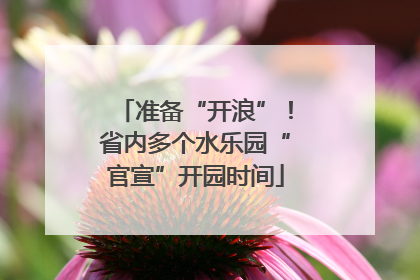 准备“开浪”！省内多个水乐园“官宣”开园时间