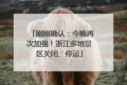 刚刚确认：今晚再次加强！浙江多地景区关闭、停运