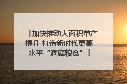 加快推动大面积单产提升 打造新时代更高水平“洞庭粮仓”