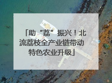 助“荔”振兴！北流荔枝全产业链带动特色农业升级