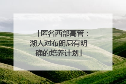 匿名西部高管：湖人对布朗尼有明确的培养计划