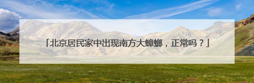 北京居民家中出现南方大蟑螂，正常吗？