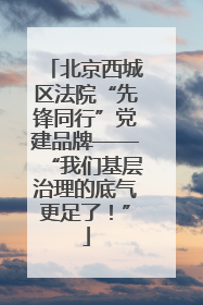 北京西城区法院“先锋同行”党建品牌——“我们基层治理的底气更足了！”