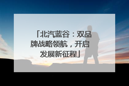 北汽蓝谷：双品牌战略领航，开启发展新征程