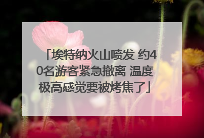 埃特纳火山喷发 约40名游客紧急撤离 温度极高感觉要被烤焦了