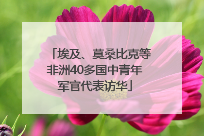 埃及、莫桑比克等非洲40多国中青年军官代表访华