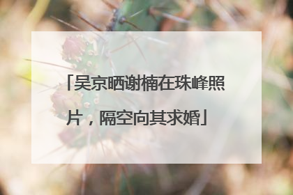 吴京晒谢楠在珠峰照片，隔空向其求婚