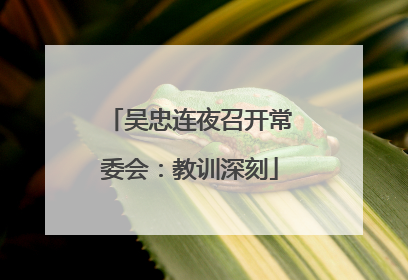 吴忠连夜召开常委会：教训深刻