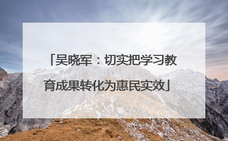 吴晓军：切实把学习教育成果转化为惠民实效