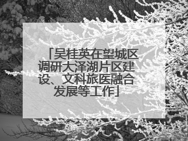 吴桂英在望城区调研大泽湖片区建设、文科旅医融合发展等工作