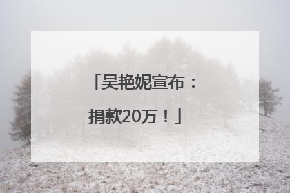 吴艳妮宣布：捐款20万！