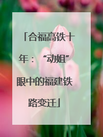 合福高铁十年：“动姐”眼中的福建铁路变迁