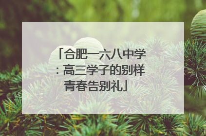 合肥一六八中学：高三学子的别样青春告别礼