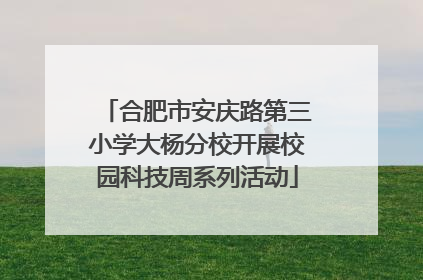 合肥市安庆路第三小学大杨分校开展校园科技周系列活动