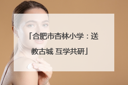 合肥市杏林小学：送教古城 互学共研