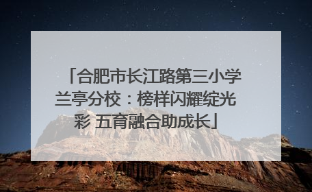 合肥市长江路第三小学兰亭分校：榜样闪耀绽光彩 五育融合助成长