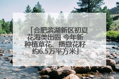 合肥滨湖新区初夏花海美出圈 今年新种植草花、播撒花籽约6.5万平方米