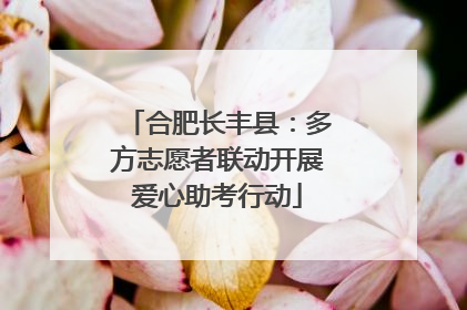 合肥长丰县：多方志愿者联动开展爱心助考行动