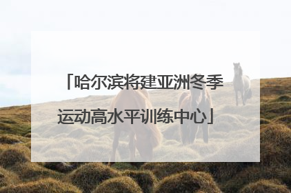 哈尔滨将建亚洲冬季运动高水平训练中心