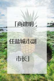 商建明，任盐城市副市长
