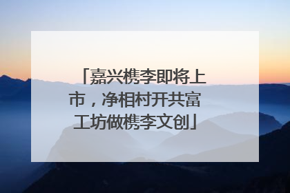 嘉兴槜李即将上市，净相村开共富工坊做槜李文创