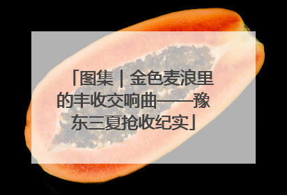 图集｜金色麦浪里的丰收交响曲——豫东三夏抢收纪实