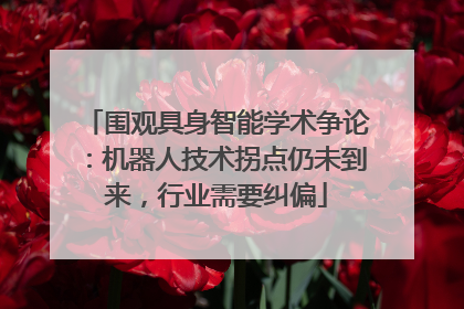 围观具身智能学术争论：机器人技术拐点仍未到来，行业需要纠偏
