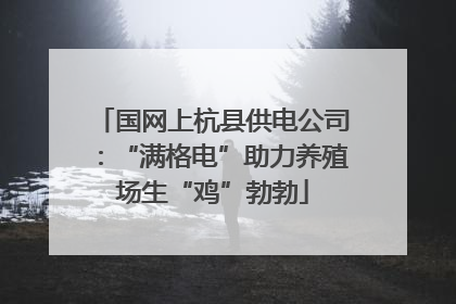 国网上杭县供电公司：“满格电”助力养殖场生“鸡”勃勃