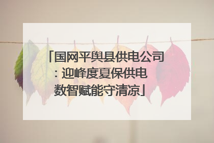 国网平舆县供电公司：迎峰度夏保供电  数智赋能守清凉