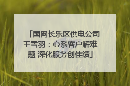 国网长乐区供电公司王雪羽：心系客户解难题 深化服务创佳绩