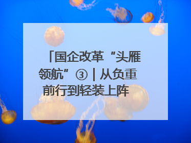 国企改革“头雁领航”③｜从负重前行到轻装上阵 重庆以“瘦身”谋“健体”