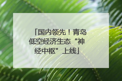 国内领先！青岛低空经济生态“神经中枢”上线
