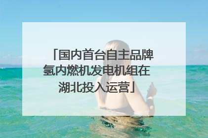 国内首台自主品牌氢内燃机发电机组在湖北投入运营