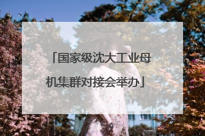 国家级沈大工业母机集群对接会举办