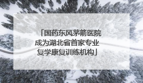国药东风茅箭医院成为湖北省首家专业复学康复训练机构
