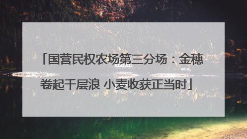 国营民权农场第三分场：金穗卷起千层浪 小麦收获正当时