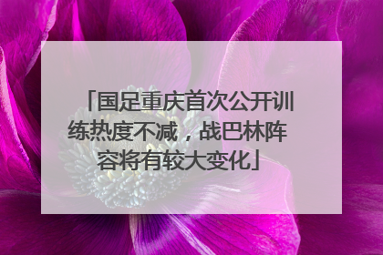 国足重庆首次公开训练热度不减，战巴林阵容将有较大变化