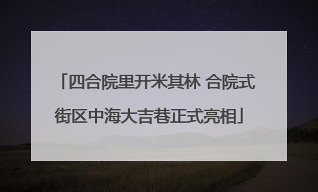 四合院里开米其林 合院式街区中海大吉巷正式亮相